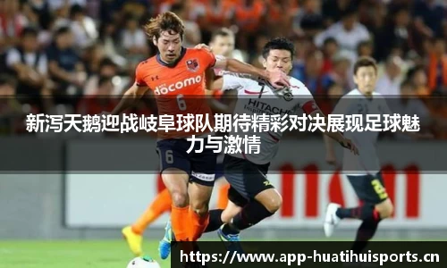 华体会体育平台